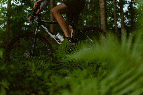 pexels-marcc-22812007.jpg