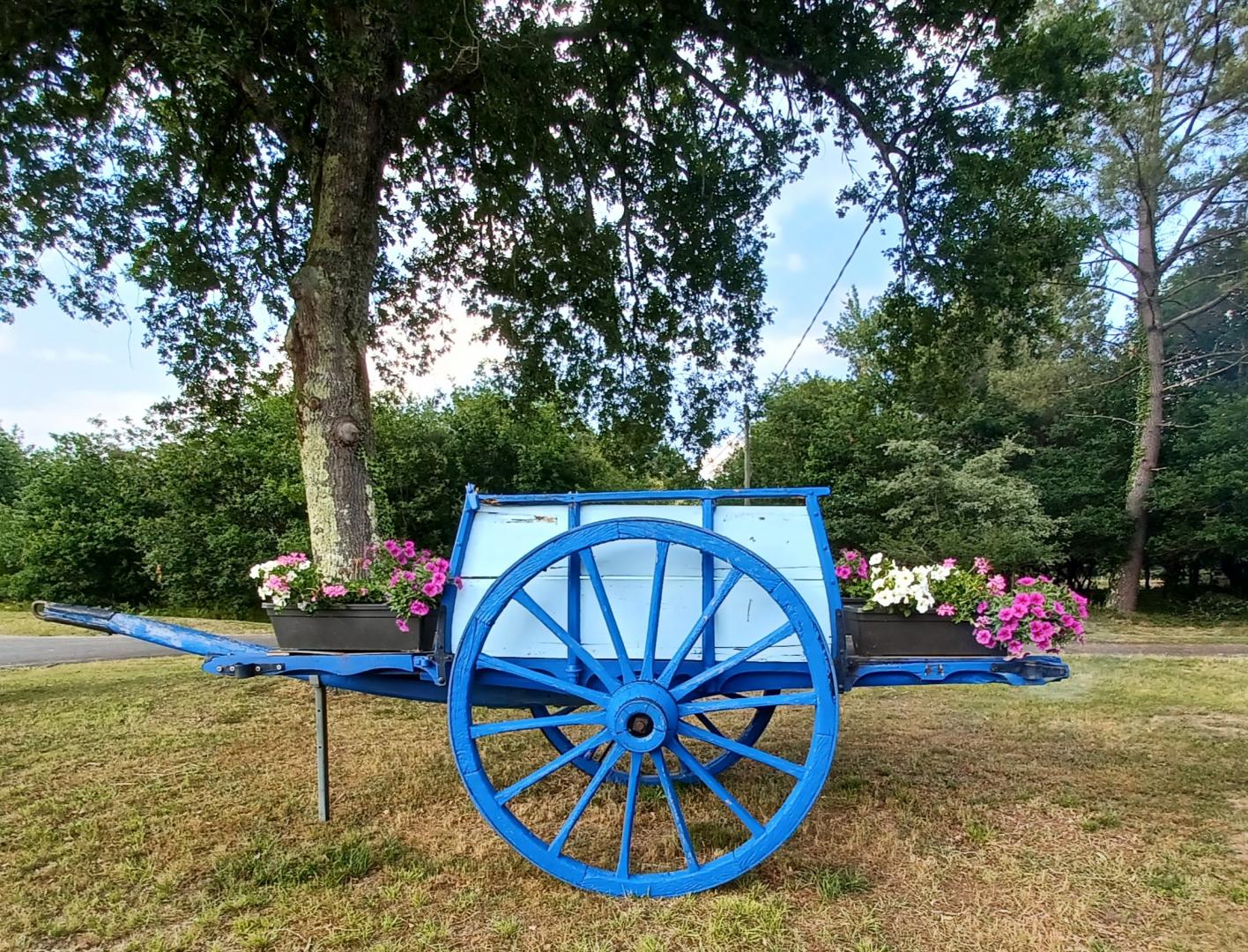 Charrette bleue fleurie